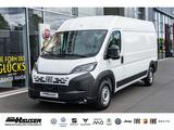 Fiat Ducato Kasten Serie 2 MY25 Maxi 35 L3H2 140 AT T - Fiat Ducato: Serie