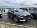 Ford Kuga ST-Line X 2.5 PHEV EU6d HUD Navi Soundsyste - Ford Kuga: Eu