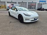 Tesla Model 3 Performance, 82KWH, 513PS, AHK, 8Fach - Tesla in Stuttgart