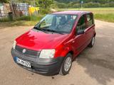 Fiat Panda 169 - Fiat Panda in Freiburg