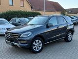 Mercedes-Benz ML 250 CDI 4Matic, Pano, Leder, 360° Kamera