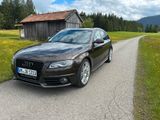 Audi A4 3.0 TDI S-tronic quattro S-line Avant - Audi A4: Braun, Leder