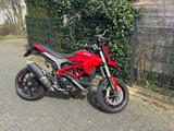 Ducati Hypermotard 939 - Offers matching your search criteria