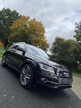 Audi SQ5 3.0 TDI tiptronic quattro - - Audi SQ5 in Kassel