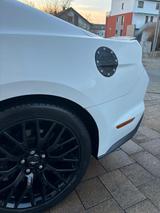 Ford Mustang 5.0 55Years 1Hand Garantie-05/27 - Ford Mustang Gebrauchtwagen in Bielefeld