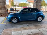Volkswagen New Beetle Maggiolino - Volkswagen New Beetle mit Diesel-Antrieb: Cabrio