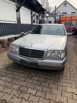 Mercedes-Benz Mercedes Benz 300 SE (W140) 1992 - Mercedes-Benz 230 in Essen