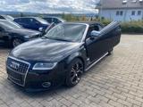 Audi A4 Cabriolet 3.0 quattro*Flügeltüren - Audi A4 aus 2004: 3.0