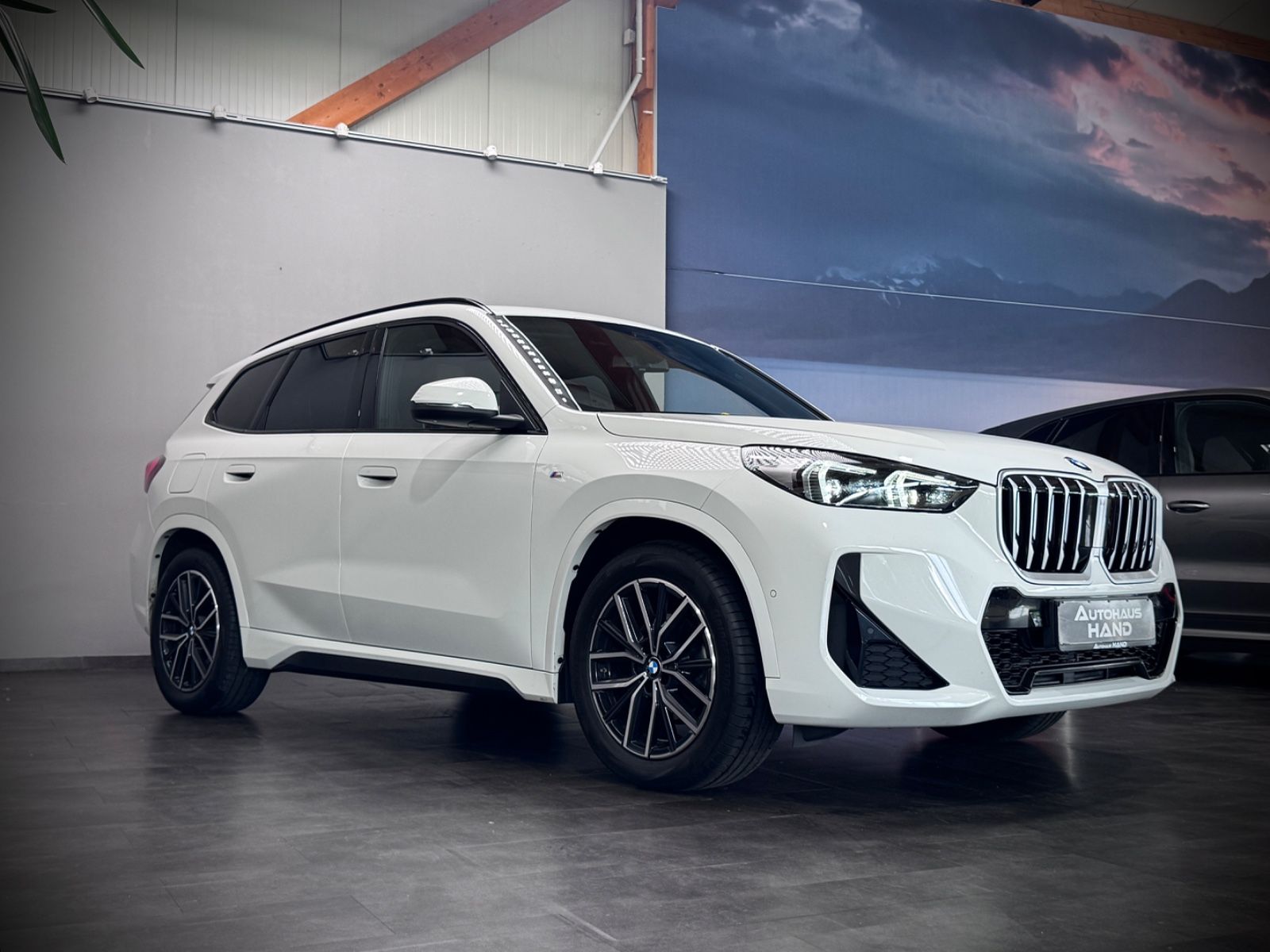 BMW X1*20d*xDrive*M-Sport*Massage*LED*Pano*Navi* foto 4