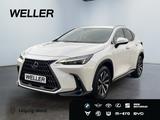 Lexus NX 350h Business Line *Bi-LED*360°*Leder*el Sitz - Lexus NX-Serie in Leipzig
