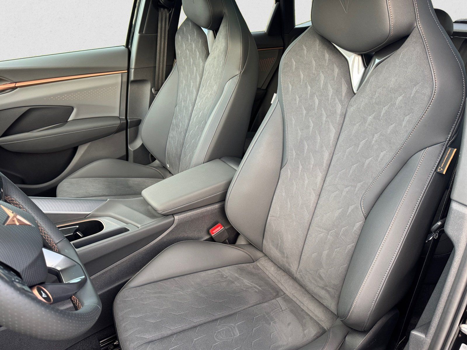 Cupra Terramar - Bild 9