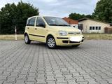 Fiat Panda - Fiat Panda in Mainz