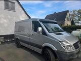 Mercedes-Benz mercedes sprinter 313 cdi  kurz flach - Mercedes-Benz Sprinter Kurz flach mit Diesel-Antrieb