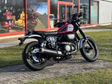 Yamaha SCR950 / XVS950 | Aus 1.Hnd | Scheckheftgepflegt - YAMAHA CHOPPER