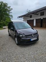 Volkswagen Caddy 1,4TSI 92kW BMT Maxi Trendline 7-Sitze... - Volkswagen Caddy: 1.9