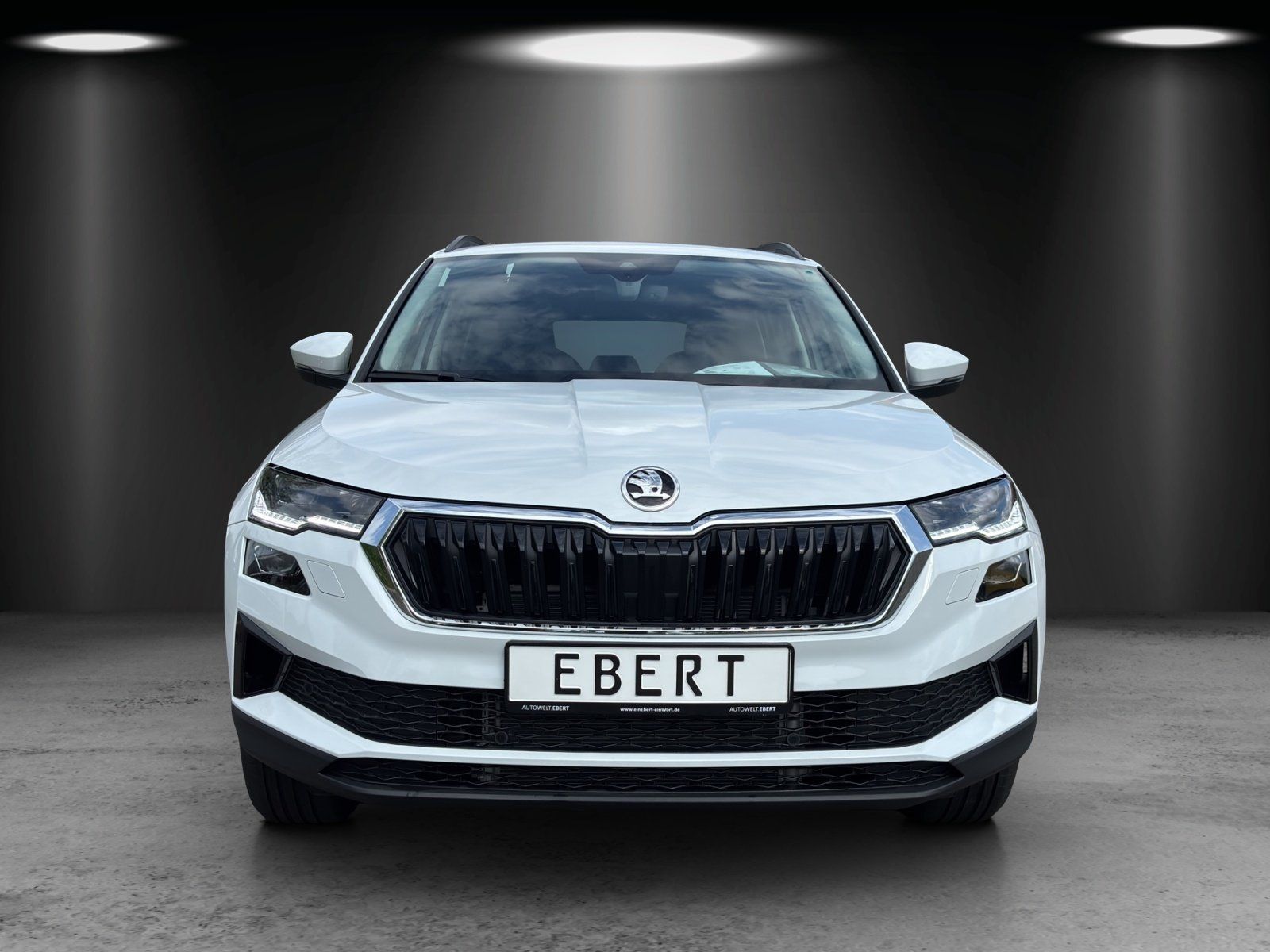 Fahrzeugabbildung SKODA Karoq Balance 1,5 TSI 110 kW DSG MATRIX/RFK/AHK