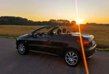 Peugeot  206 CC Cabrio ---2,0 16V  --- Tausch - Peugeot 206 Gebrauchtwagen in Halle
