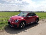 Volkswagen Beetle 2.0 TSI BMT R-Line Cabriolet R-Line - VW Beetle von privat