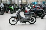 Motron Cubertino, 50er Roller, sofort lieferbar - MOTRON CUBERTINO