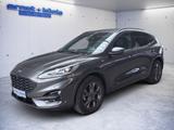 Ford Kuga 2.0 EcoBlue 4x4 Aut. ST-LINE X LED+Body-KIT - Ford Kuga Gebrauchtwagen in Freiburg