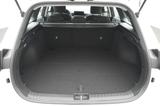 Kia CEED SW CEED_SW 1.6D 136 48V DCT7 VIS AHK KOMF - Kia cee'd Sportswagon Gebrauchtwagen