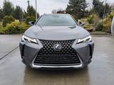 Lexus UX 250 h - Lexus aus 2021