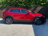 Mazda CX-30 1.8 SKYACTIV-D Selection HUD CarPlay ACC - Mazda Gebrauchtwagen in Leipzig