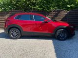 Mazda CX-30 1.8 SKYACTIV-D Selection HUD CarPlay ACC - Mazda: 1.8