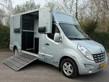 Renault Master Anemone Pferdewagen Horsetruck Pferde - gebrauchte Renault Master aus dem Jahr 2011