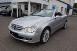 Mercedes-Benz CLK Cabrio 320 CDI 7G-TRONIC Avantgarde DPF - Mercedes-Benz mit Diesel-Antrieb: Cabrio, Clk