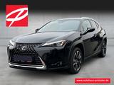 Lexus UX 250h Style Edition Navi LED ACC Apple CarPlay