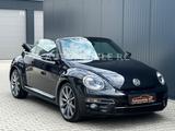 Volkswagen Beetle Cabrio*R-Line Beetle Ed.*Navi*Leder*Xenon - Volkswagen Beetle: R Line