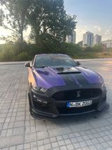 Ford GT 500 Shelby 450 PS Lila Folie LPG  - : Leder, Folie