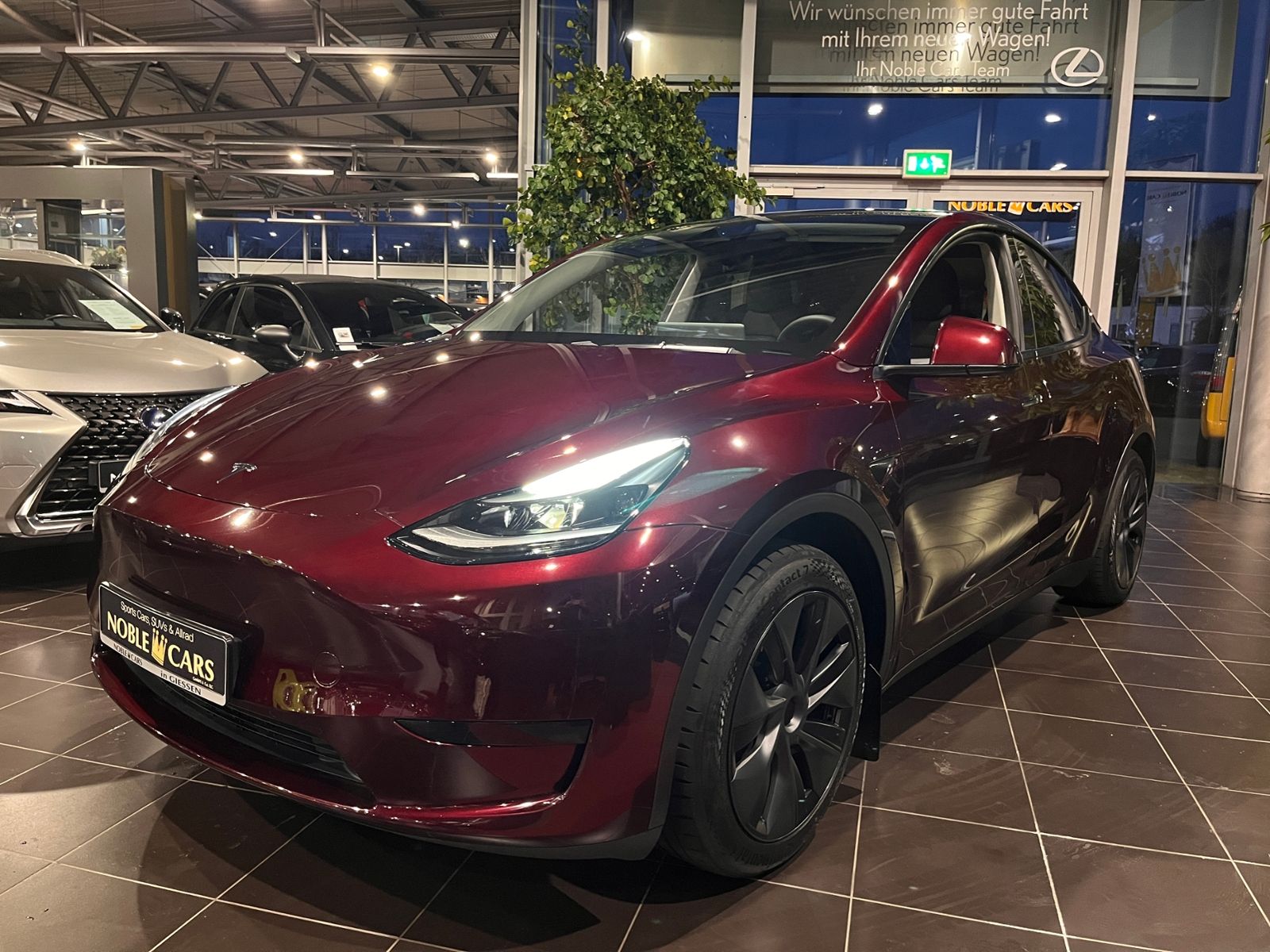 Fahrzeugabbildung Tesla Model Y SR RWD AUTOPILOT PANO 360° WP 19"