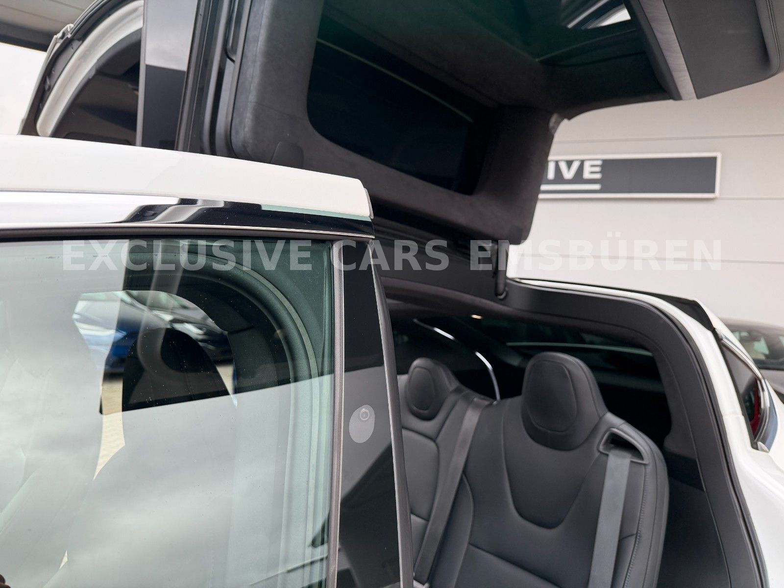 Tesla MODEL X LONG RAVEN LONG RANGE DUAL MOTOR foto 5