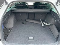 Skoda Octavia - Vorschau Bild 13