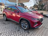Hyundai Tucson Trend M.-Hybrid DCT AHK Navi Allwetter - Hyundai Tucson Trend mit Diesel-Antrieb