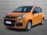 Fiat FIAT Panda III 2016 - Panda 1.0 hybrid Easy s&s  - Fiat Panda EASY mit Hybrid-Antrieb (Benzin/Elektro)