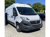 Fiat Ducato Maxi Grossr.-Kasten 35 130 L5H2 RS 4035 m - gebrauchte Fiat Ducato aus dem Jahr 2019