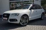Audi Q5 3.0 TFSI quattro Bi-Xenon Panorama Kamera - Audi: Weiß