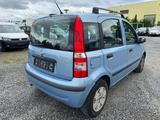 Fiat Panda 1.2 8V Dynamic * Klima* - gebrauchte Fiat Panda aus dem Jahr 2008