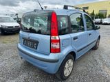 Fiat Panda 1.2 8V Dynamic * Klima* - Fiat Panda aus 2008