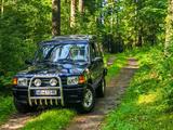 Land Rover Discovery 2.5 TDi Trophy  - Land Rover Discovery: TDI