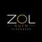 Zol Auto Oldenburg