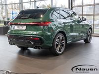 Audi SQ5 - Vorschau Bild 3