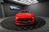 Ford Mustang Shelby GT 500 5.0 V8 Performance 20 Zoll - Ford Mustang: Coupe, Shelby Gt500