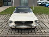 Ford Mustang Cabrio V8 289Cui  4 Gang Schalter  - Ford Mustang Oldtimer: Roadster