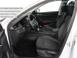 Skoda Octavia 1.0 TSI Business Edition | sitzheizung | - Skoda Octavia: Business