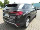 Skoda Kodiaq 2.0 TDI 142 kW 4x4 ,7S,Navi,AHK,Mtrx,RFK - Skoda Gebrauchtwagen in Neuwied