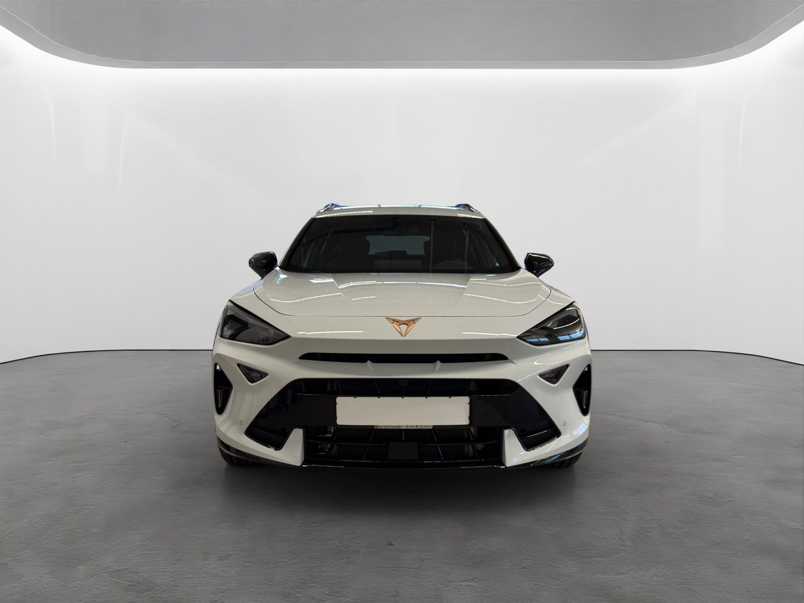 Cupra Formentor 1.5 TSI MATRIX-LED FULL-LINK 18 KAMERA imagem 3
